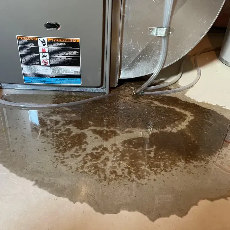 Appliance Leak Cleanup in Kingston, MO